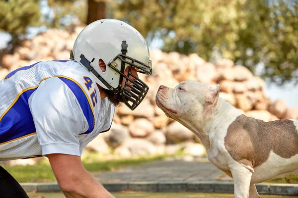 面对面的人和狗。一个头戴头盔、穿着制服的美国足球运动员与一只斗狗面对面站着。概念美式足球，保护动物的运动. — 图库照片