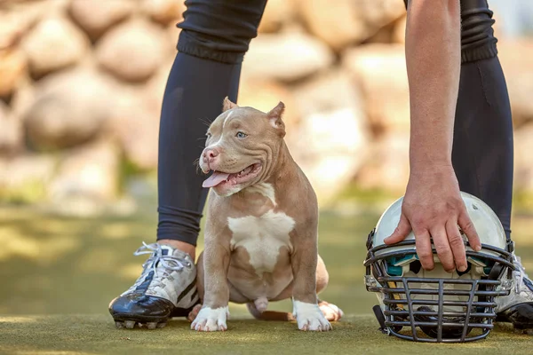 American football player with a dog posing on camera in a park. Copy space, sports banner. Concept american football, sport for the protection of animals.