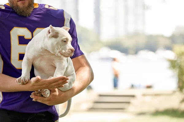 American football player with a dog posing on camera in a park. Copy space, sports banner. Concept american football, sport for the protection of animals.