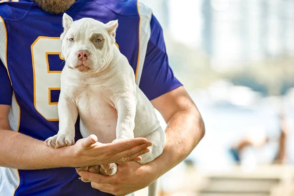 American football player with a dog posing on camera in a park. Copy space, sports banner. Concept american football, sport for the protection of animals.