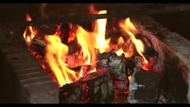 Fuego ardiente en la chimenea. Un clip de bucle de una chimenea con llamas de tamaño mediano — Vídeo de stock