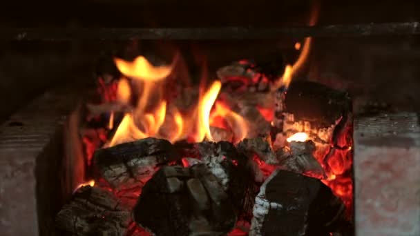 Fuego ardiente en la chimenea. Un clip de bucle de una chimenea con llamas de tamaño mediano — Vídeo de stock