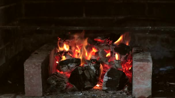 Incêndio na lareira. Um clipe de loop de uma lareira com chamas de tamanho médio — Vídeo de Stock