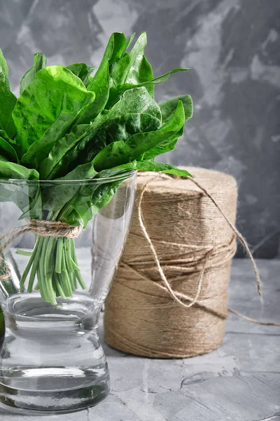 Espinafre de folha em um vaso com água. Em um fundo cinza, com uma bobina de corda para embalagem. Produto natural, espaço de cópia . — Fotografia de Stock