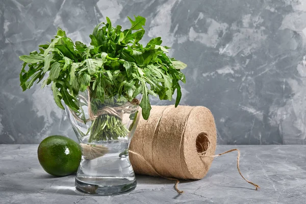 Φρέσκα φύλλα ρόκα σε ένα βάζο με νερό, γκρι φόντο. Πράσινο φύλλα πλούσια σε ιχνοστοιχεία, δόρατα αντιγράψετε. — Φωτογραφία Αρχείου