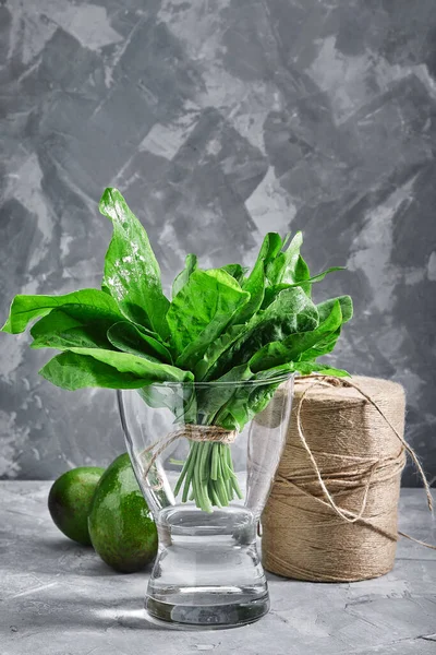 Um monte de azeda fresca em um vaso de água em um fundo cinza. O conceito de alimentos frescos, embalagem e entrega on-line de produtos. cópias do espaço . — Fotografia de Stock