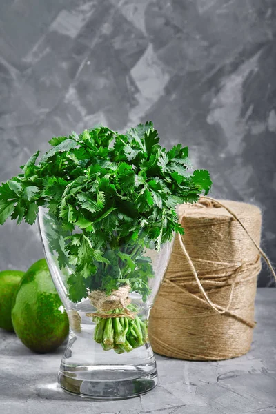 A bunch of fresh cilantro in a vase of water. Gray background, photo for delivery stores