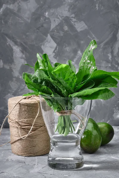 Friss sóska levelek egy üveg vázában vízzel, biotermékek a boltba, ökocsomagolás, élelmiszer szállítás. — Stock Fotó