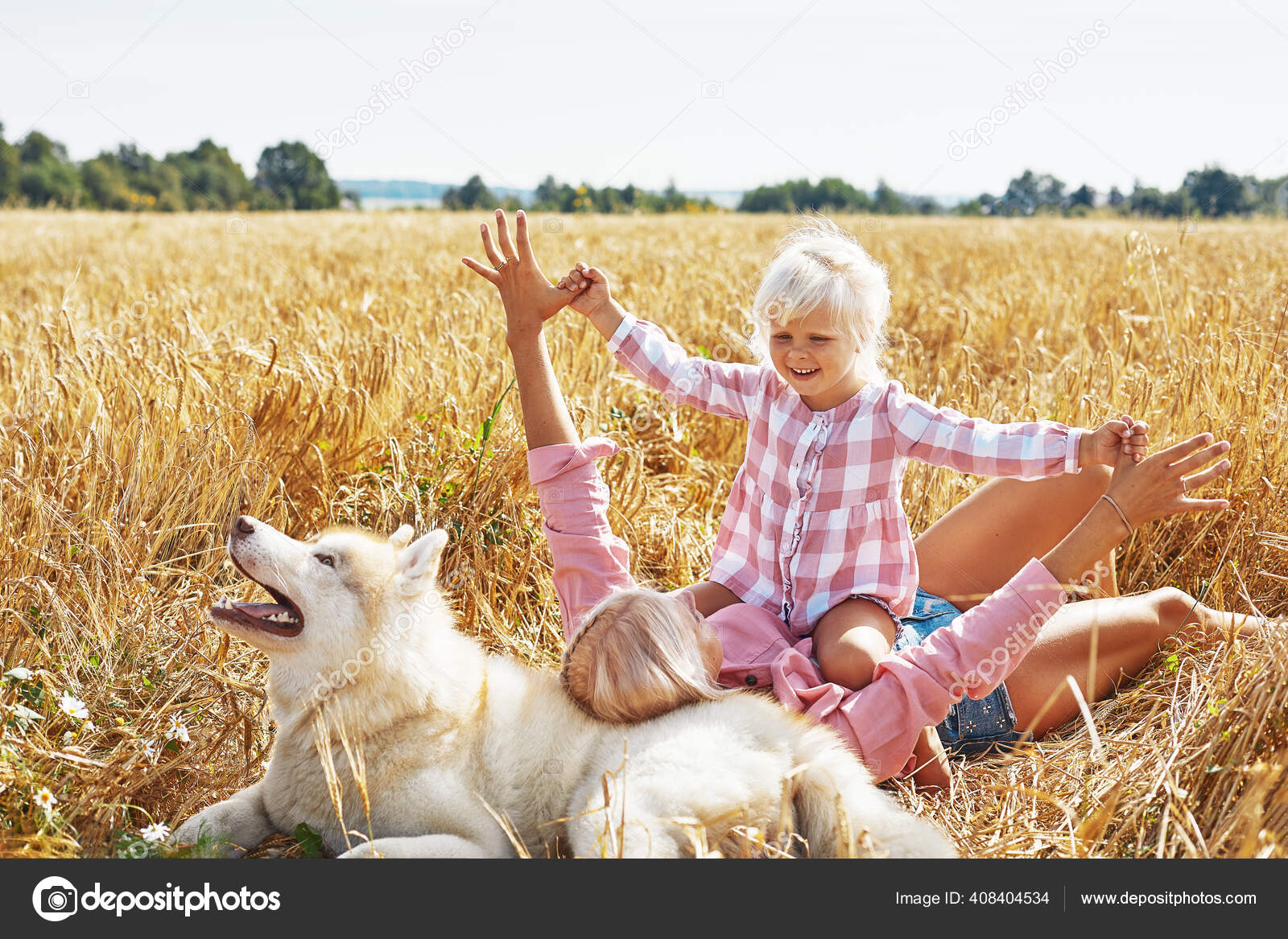 小麦畑でお母さんと犬とかわいい赤ちゃんの女の子 幸せな若い家族は自然の中で一緒に時間を楽しむ ママ 小さな赤ちゃんの女の子と犬が屋外で休んでいます 一緒に愛幸福の概念を ストック写真 C Gerain0812