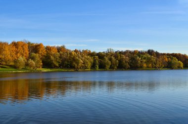 Nehir kenarındaki sonbahar ormanı. Parlak mavi gökyüzü. Güneşli bir gün. Gökyüzü açık, suda dalgalanma. Orman suya yansıdı. Doğa resmi arkaplanı.