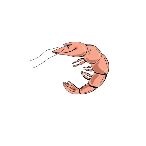 Funny Cartoon Shrimp Vector Illustration — Stock Vector