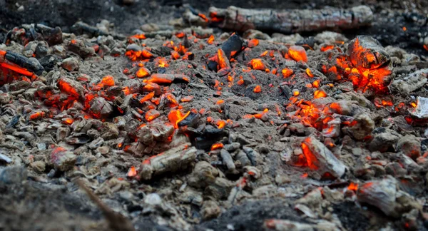 Burning ember.. Nature picture. Background.