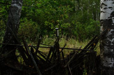 Ormanda çöp. Ekolojik sorun.