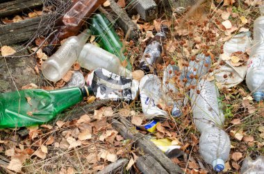 Ormanda çöp. Ekolojik sorun.