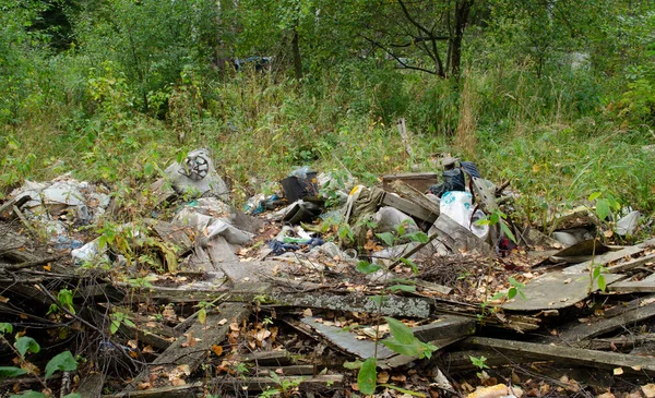 森の中のゴミ 生態学的問題 — ストック写真