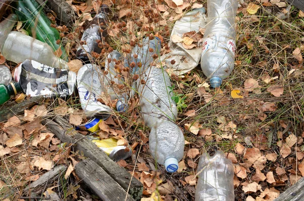 Ormanda çöp. Ekolojik sorun.