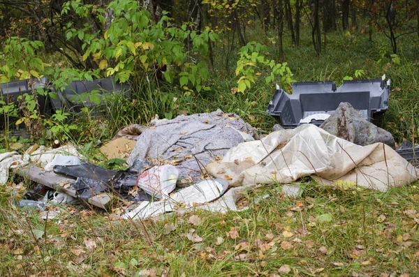 Ormanda çöp. Ekolojik bir sorun. Plastik, cam, kutu.
