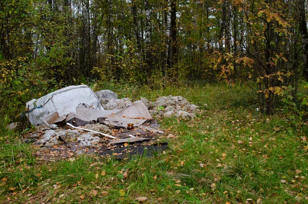 Des Ordures Dans Forêt Problème Écologique Plastique Verre Canettes — Photo