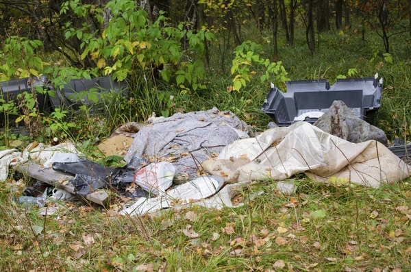 Σκουπίδια Στο Δάσος Οικολογικό Πρόβλημα Πλαστικά Γυάλινα Δοχεία — Φωτογραφία Αρχείου