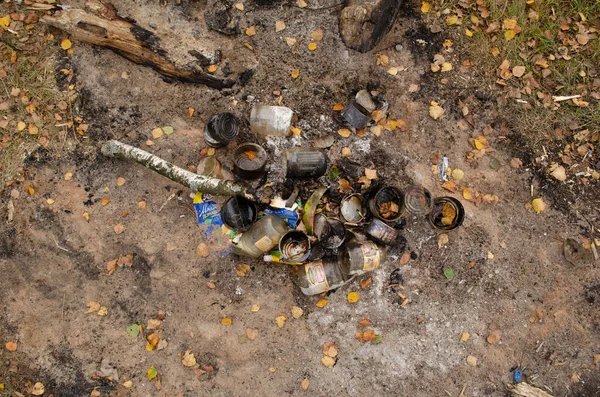 Basura Bosque Problema Ecológico Plástico Vidrio Latas — Foto de Stock