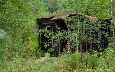 Ormanda terk edilmiş ahşap bir ev. Yüksek otların arasındaki eski hasarlı ahşap ev.