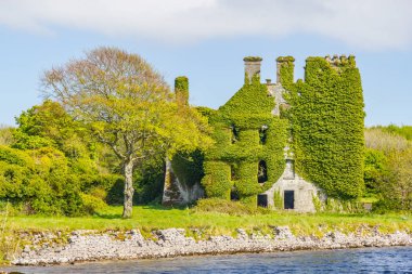 Corrib nehir, doğal bitki örtüsü ve Menlo Castle, Galway, İrlanda