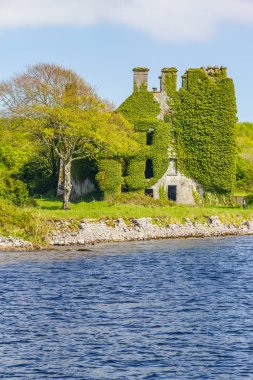 Corrib nehir, doğal bitki örtüsü ve Menlo Castle, Galway, İrlanda