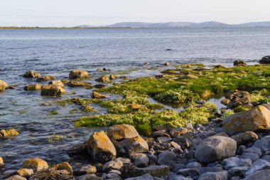 Rock beach Galway Bay, Galway, İrlanda