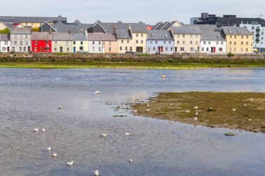 Binalar ve martılar Corrib Irmağı, Galway, İrlanda '