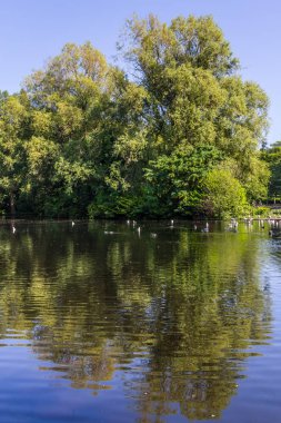 Lake St Stephen Green Park, Dublin, İrlanda