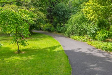 Ağaç ve otların arasında Botanik Bahçesi, Dublin, İrlanda