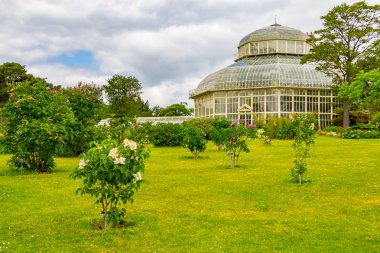 Bulutlu gün Botanik Bahçesi, Dublin, İrlanda
