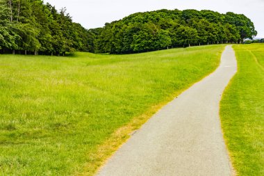 Alanlar ve ağaçlar Phoenix Park, Dublin, İrlanda