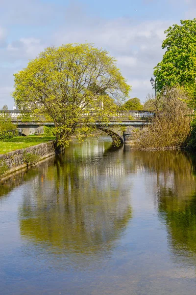 Pont Sur Rivière Corrib Les Arbres Galway Irlande — Photo