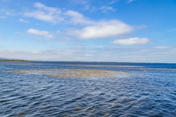 Río Lough Vegetación Natural Galway Irlanda — Foto de Stock