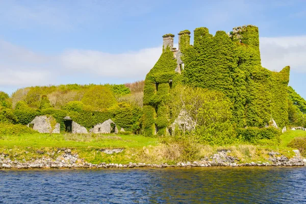 Corrib nehir, doğal bitki örtüsü ve Menlo Castle, Galway, İrlanda