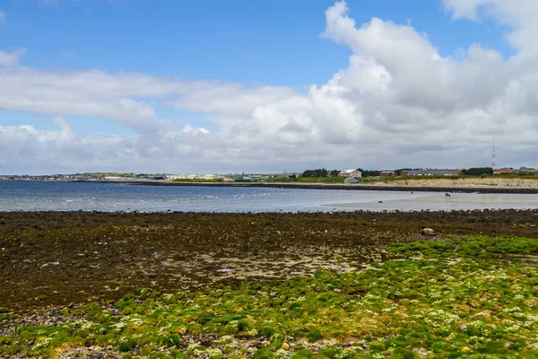 Ballyloughane Beach Con Case Sullo Sfondo Riflessione Nuvolosa Galway Irlanda — Foto Stock