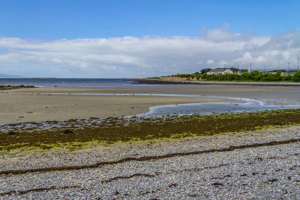 Ballyloughane Beach Con Casas Fondo Galway Irlanda —  Fotos de Stock