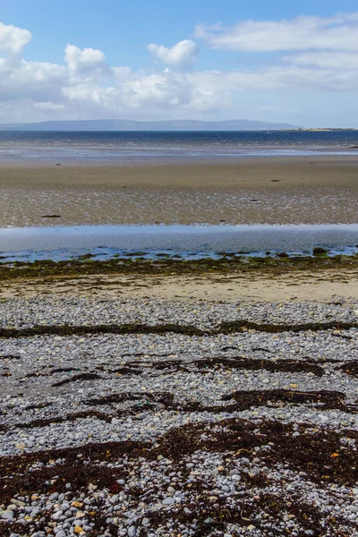 Ballyloughane 海滩与岩石和海藻 戈尔韦 爱尔兰 — 图库照片