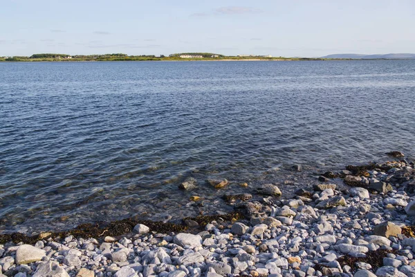 Felsstrand Galway Bay Galway Irland — Stockfoto