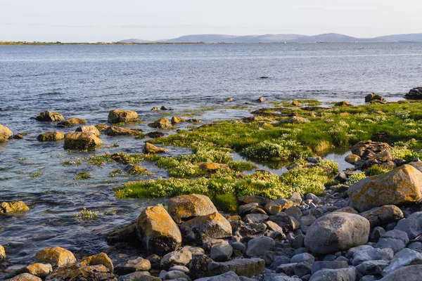 Rots Strand Baai Van Galway Galway Ierland — Stockfoto