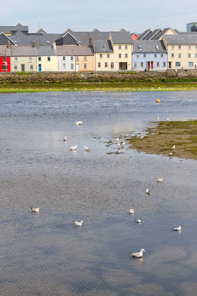 Buildings Seagulls Corrib River Galway Ireland — Stock Photo, Image