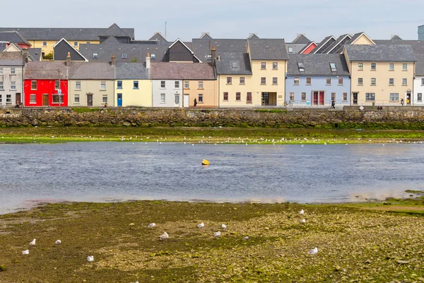 Binalar Martılar Corrib Irmağı Galway Rlanda — Stok fotoğraf