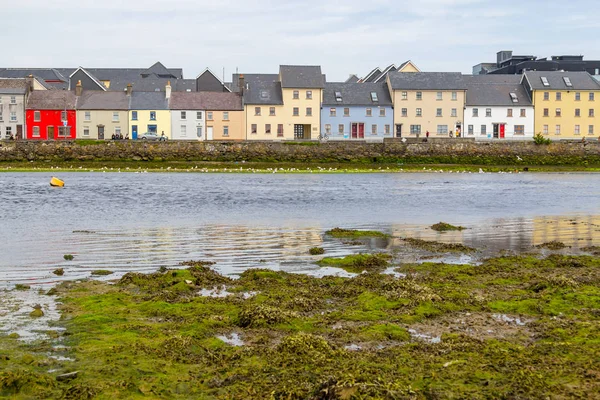 Binalar Corrib Irmağı, Galway, İrlanda '