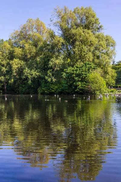 Lago Stephen Green Park Dublin Irlanda — Fotografia de Stock