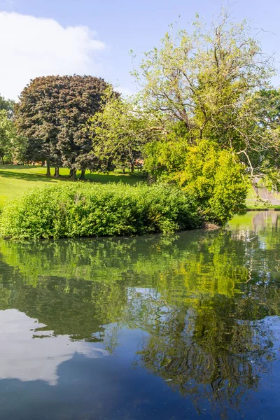 Alanlar ve ağaçlar Phoenix Park, Dublin, İrlanda