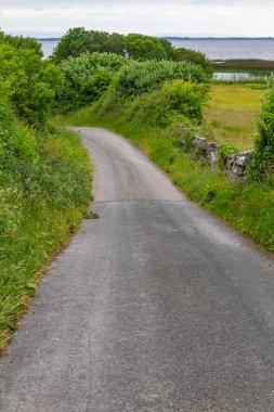 Arka planda, Galway, İrlanda ile Lough Corrib yol ve çiftlik çayır