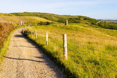 Farm road, alan ve dağlar, Clifden, İrlanda