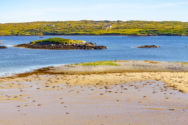 Clifden Bay Met Vegetatie Blue Sky Ierland — Stockfoto