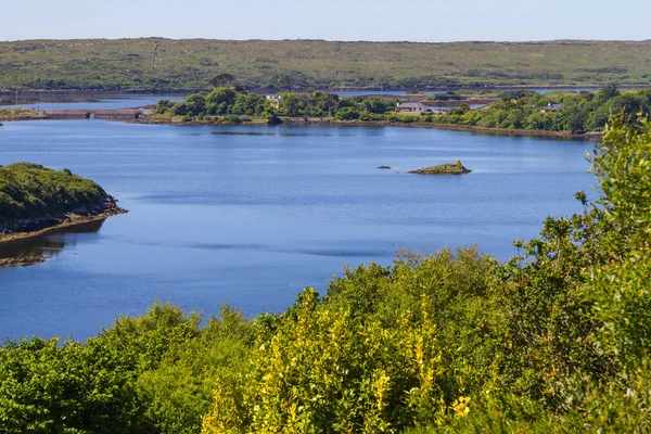 Zoutmeer Bergen Vegetatie Clifden Ierland — Stockfoto